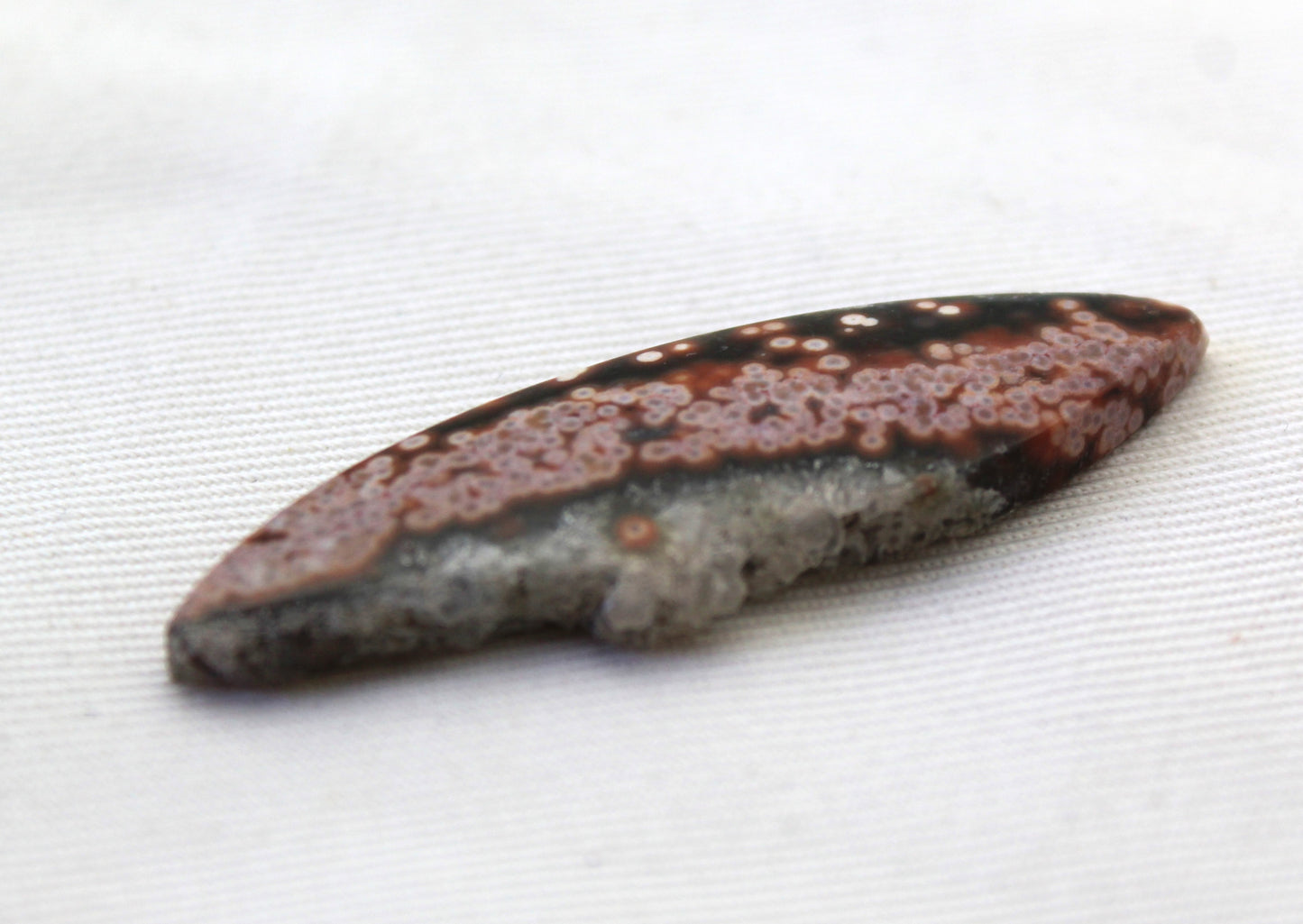 River Jasper Cabochon Gemstone jaune blanc vert