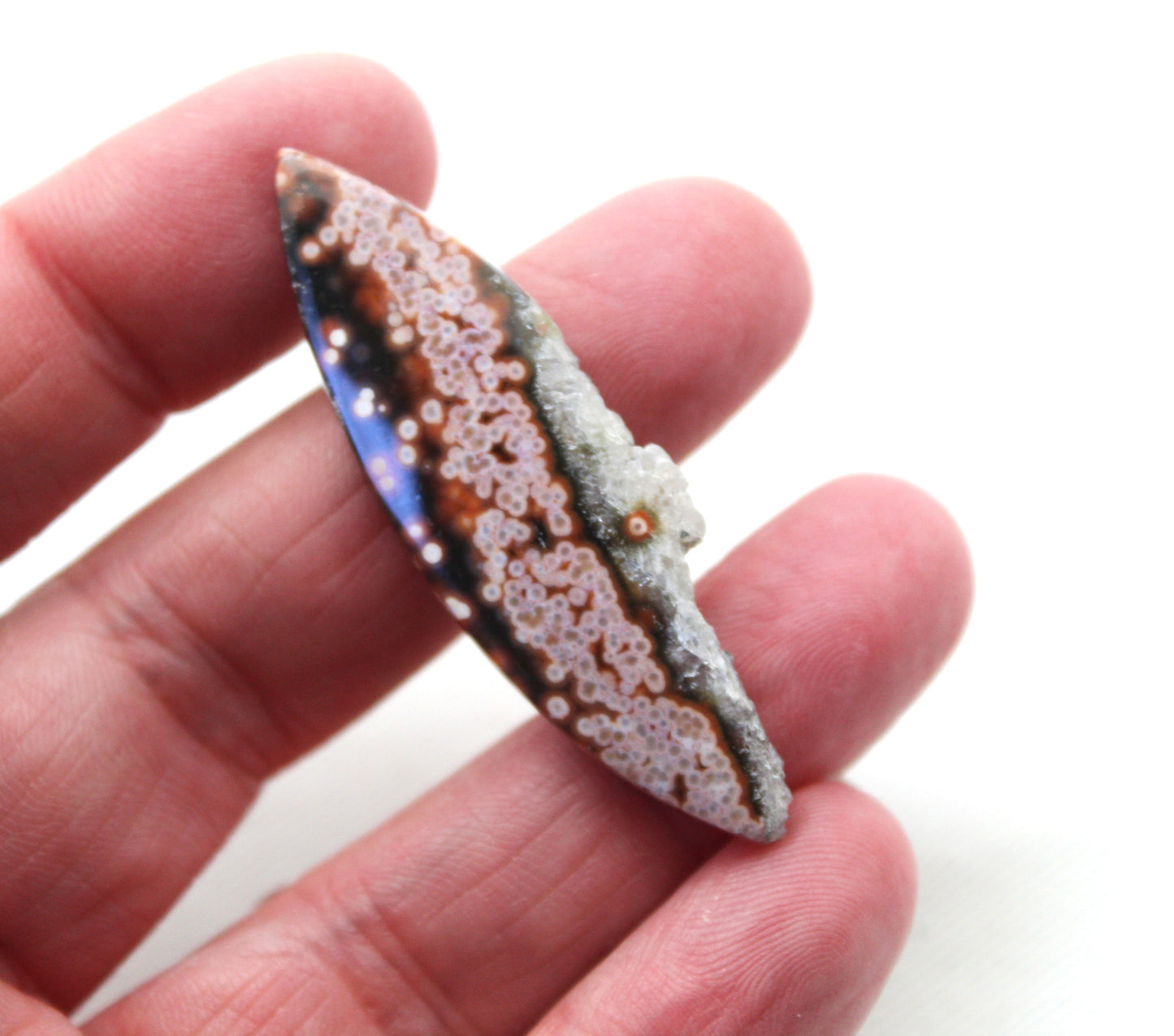 River Jasper Cabochon Gemstone jaune blanc vert