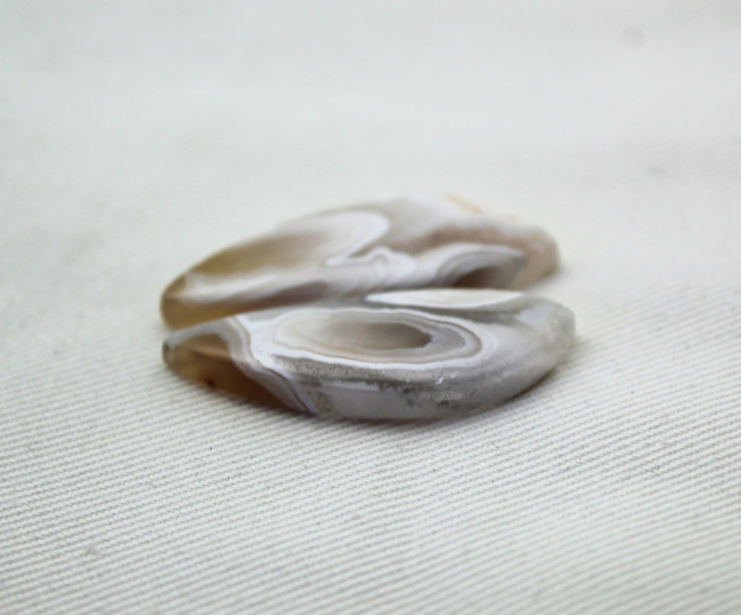 UNIQUE Orbicular Agate Cabochons Pair Gemstone natural