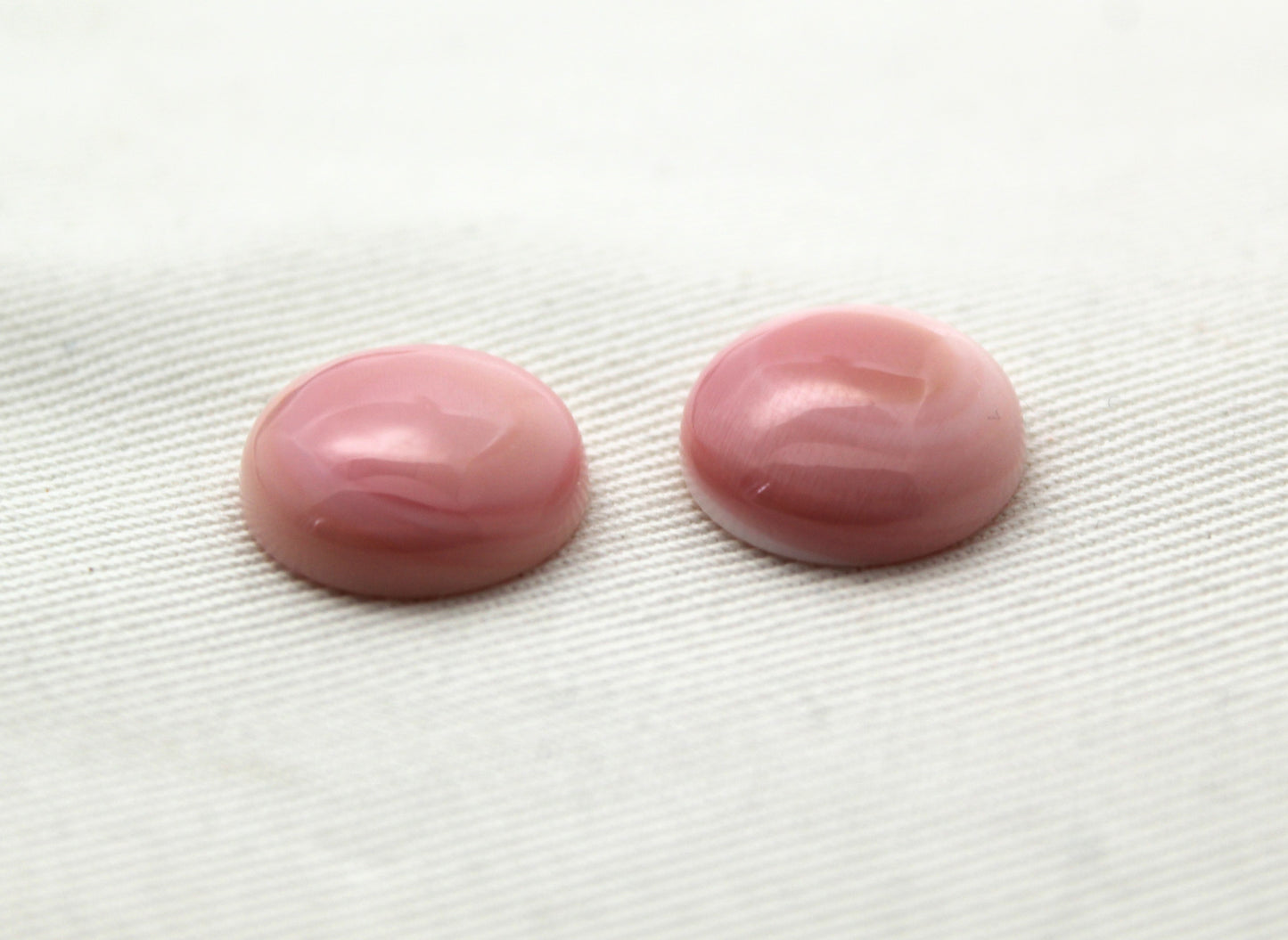 TWO Queen Conch Shell Round Cabochon 14MM