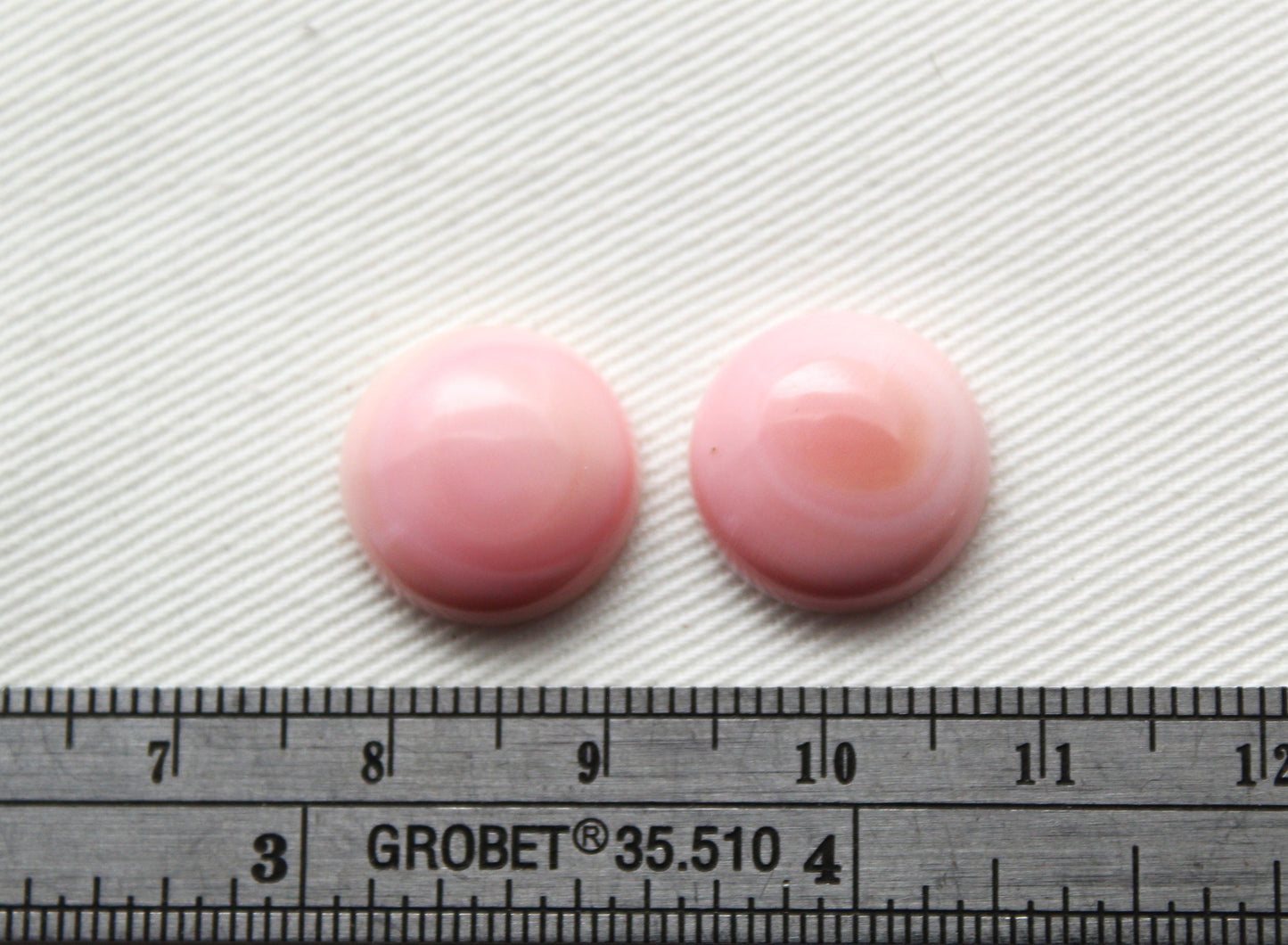 TWO Queen Conch Shell Round Cabochon 14MM