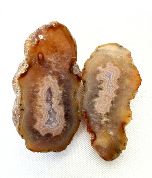 Indonesian banded Agate nodule polished yellow pink