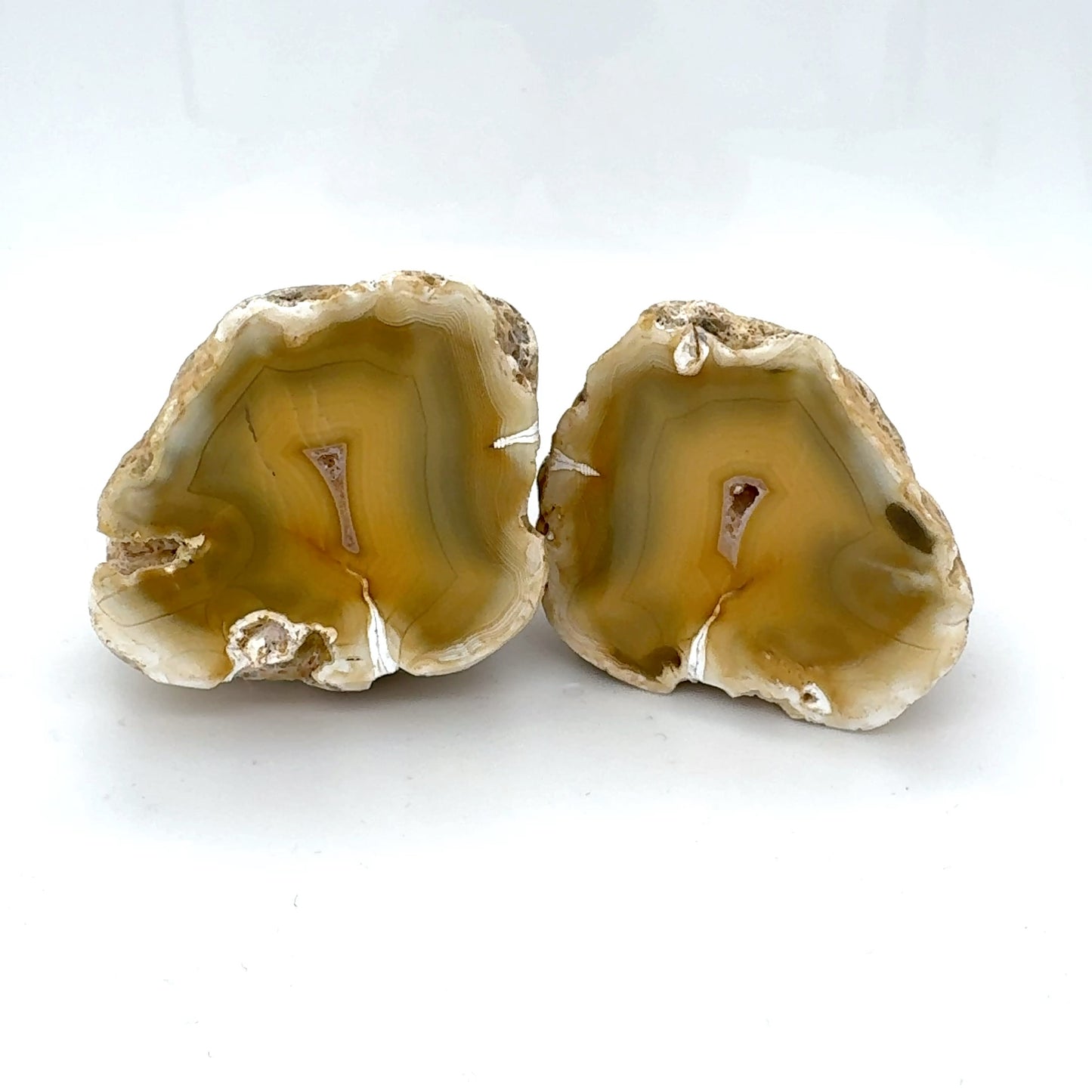 Indonesian banded Agate nodule polished yellow green