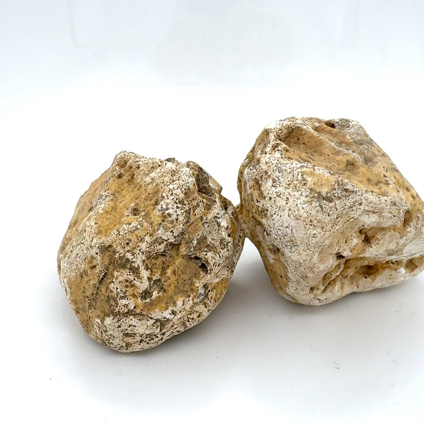 Indonesian banded Agate nodule polished yellow green