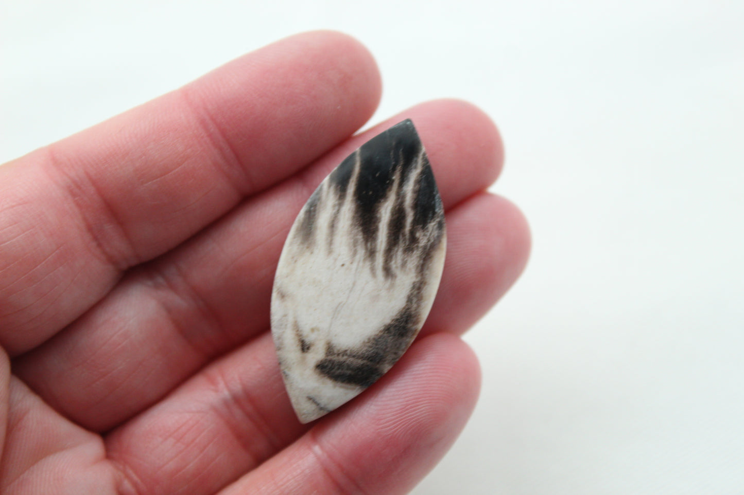 Fossil Palmwood Cabochon Gemstone Marquise