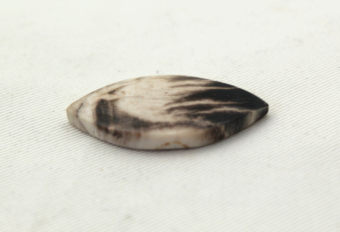 Fossil Palmwood Cabochon Gemstone Marquise