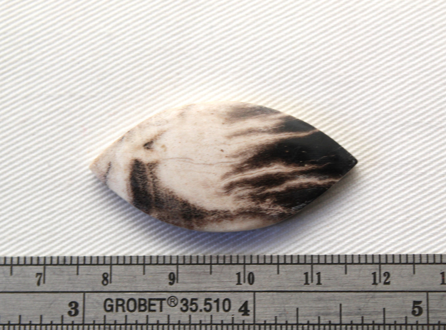 Fossil Palmwood Cabochon Gemstone Marquise