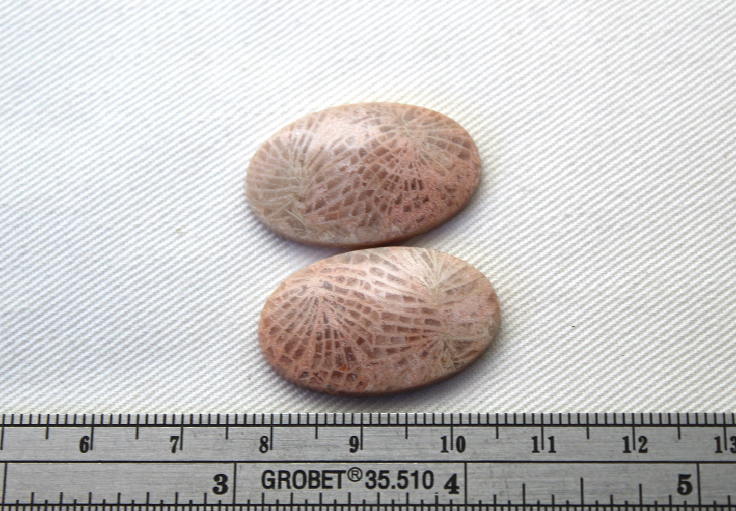 Fossil coral pair cabochons oval beige