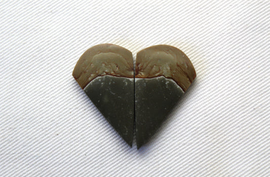 Matching pair of polychrome Jasper Cabochons