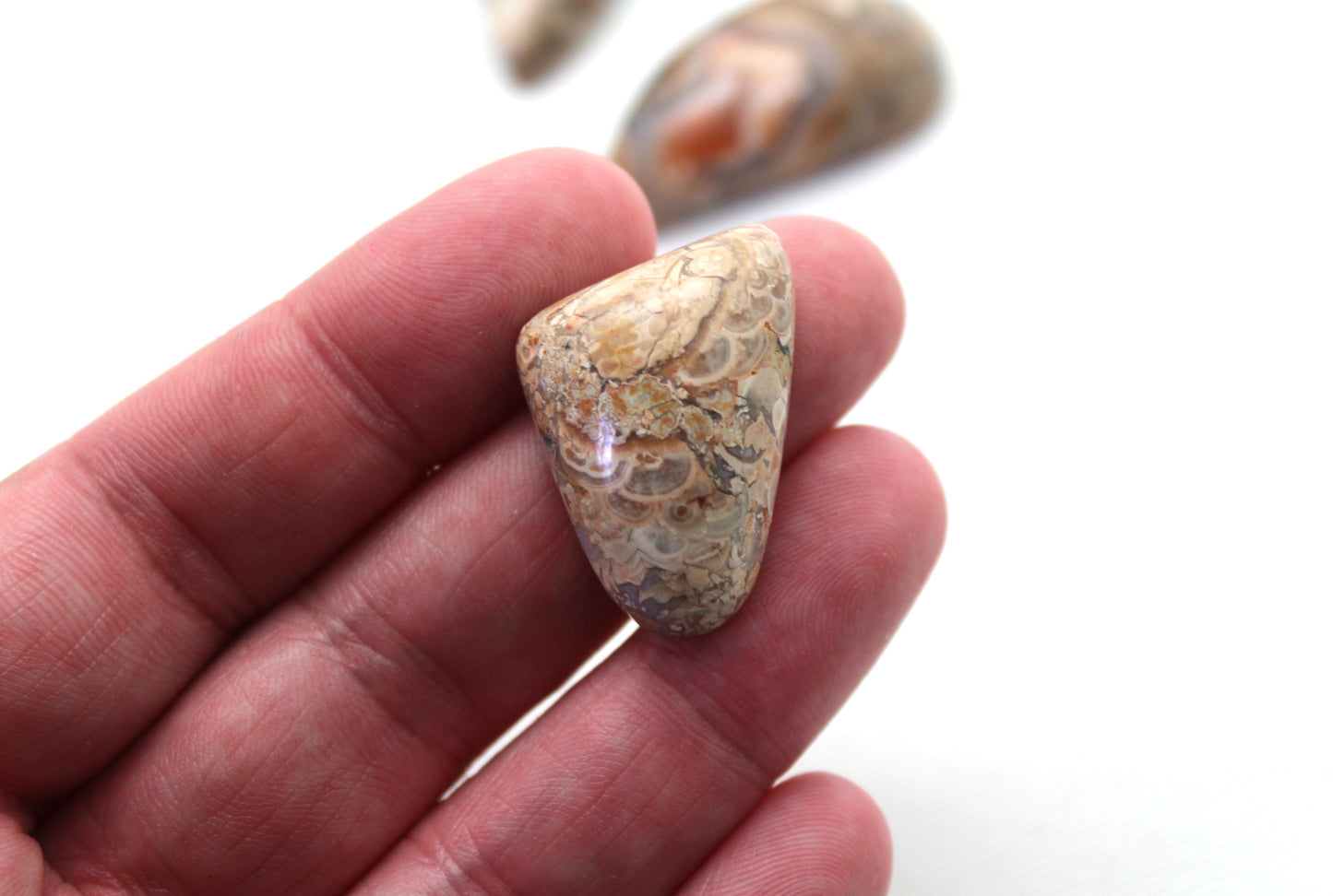 Natural Agate Cabochon Gemstone beige brown