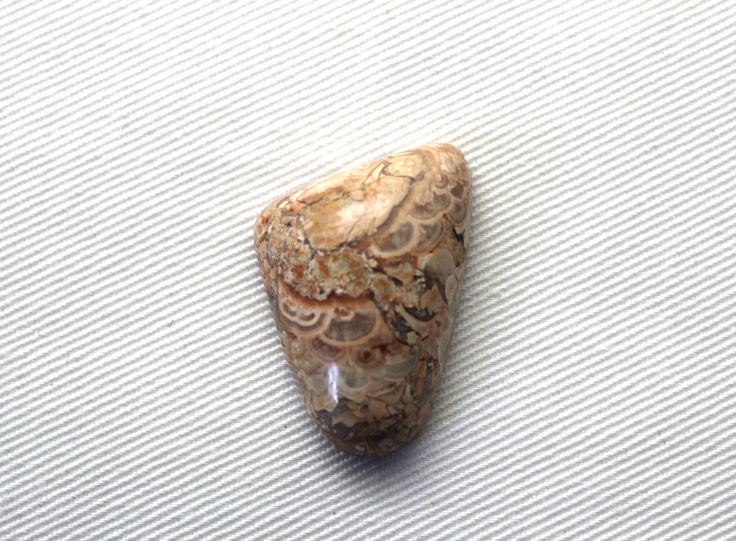 Natural Agate Cabochon Gemstone beige brown