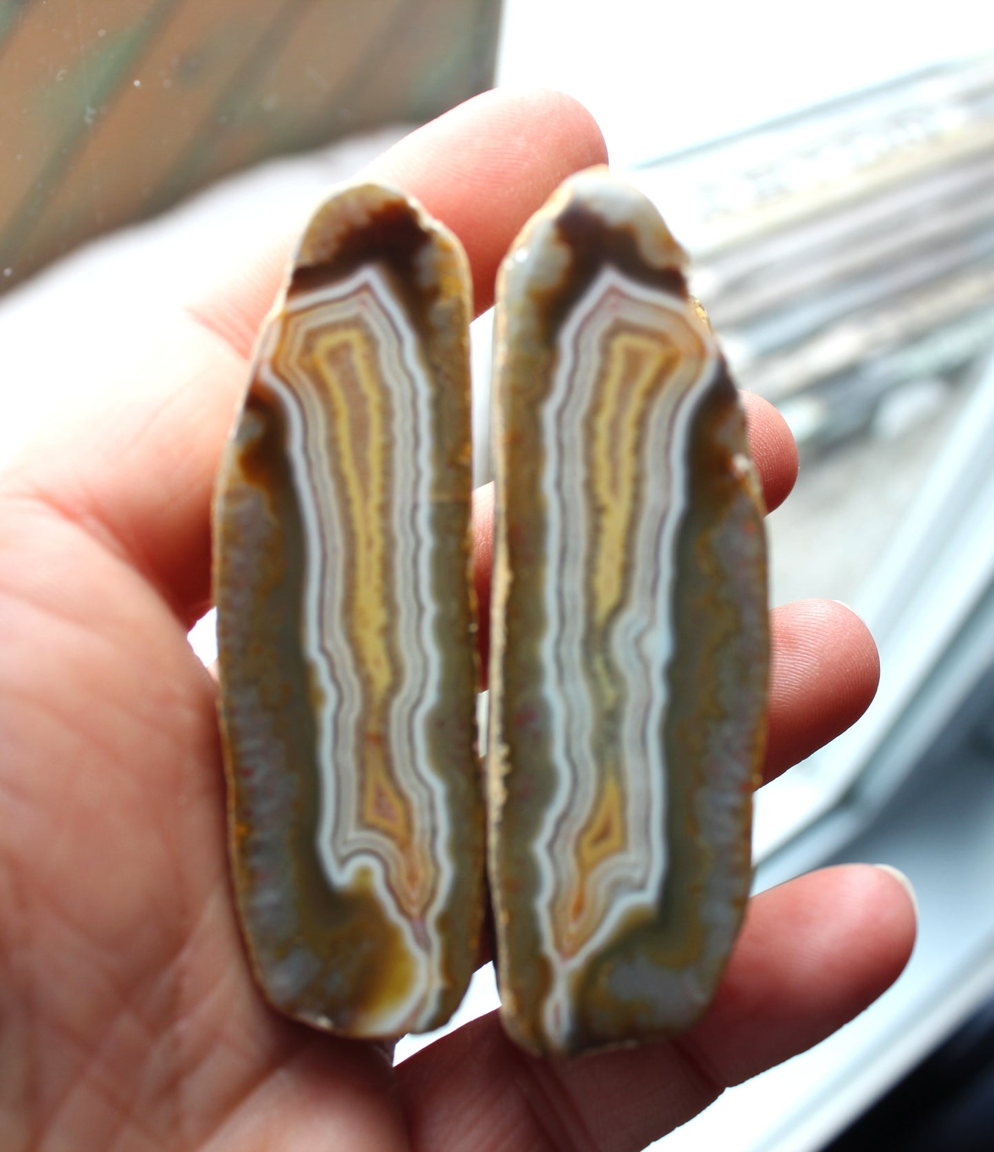 Indonesian Yellow banded Agate nodule polished