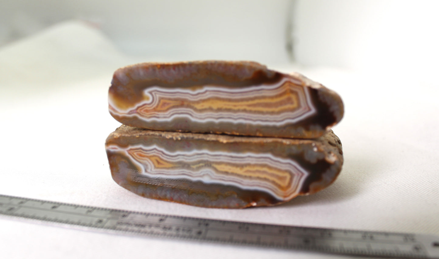 Indonesian Yellow banded Agate nodule polished