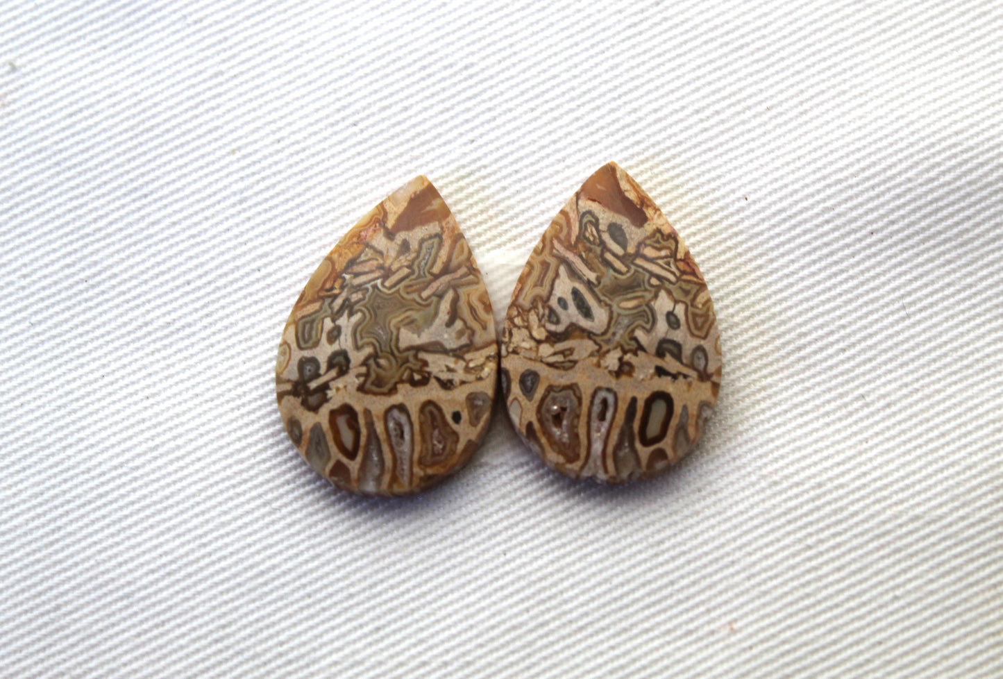 Fossil Palmwood Pair Cabochon Gemstone with druzy pockets