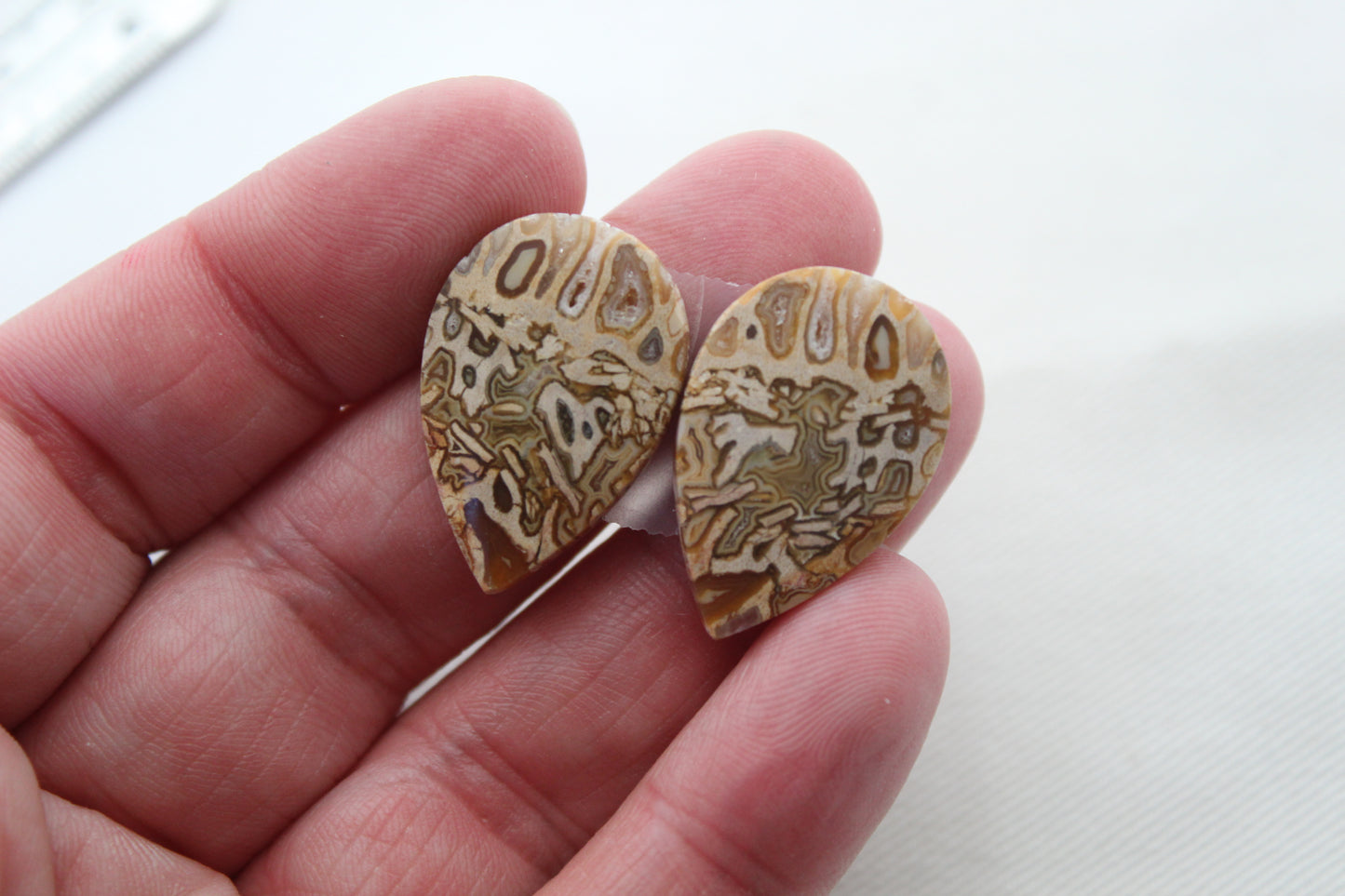 Fossil Palmwood Pair Cabochon Gemstone with druzy pockets