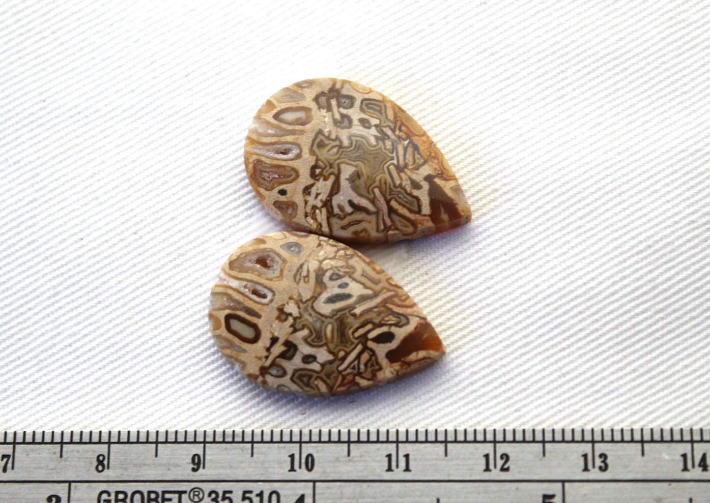 Fossil Palmwood Pair Cabochon Gemstone with druzy pockets