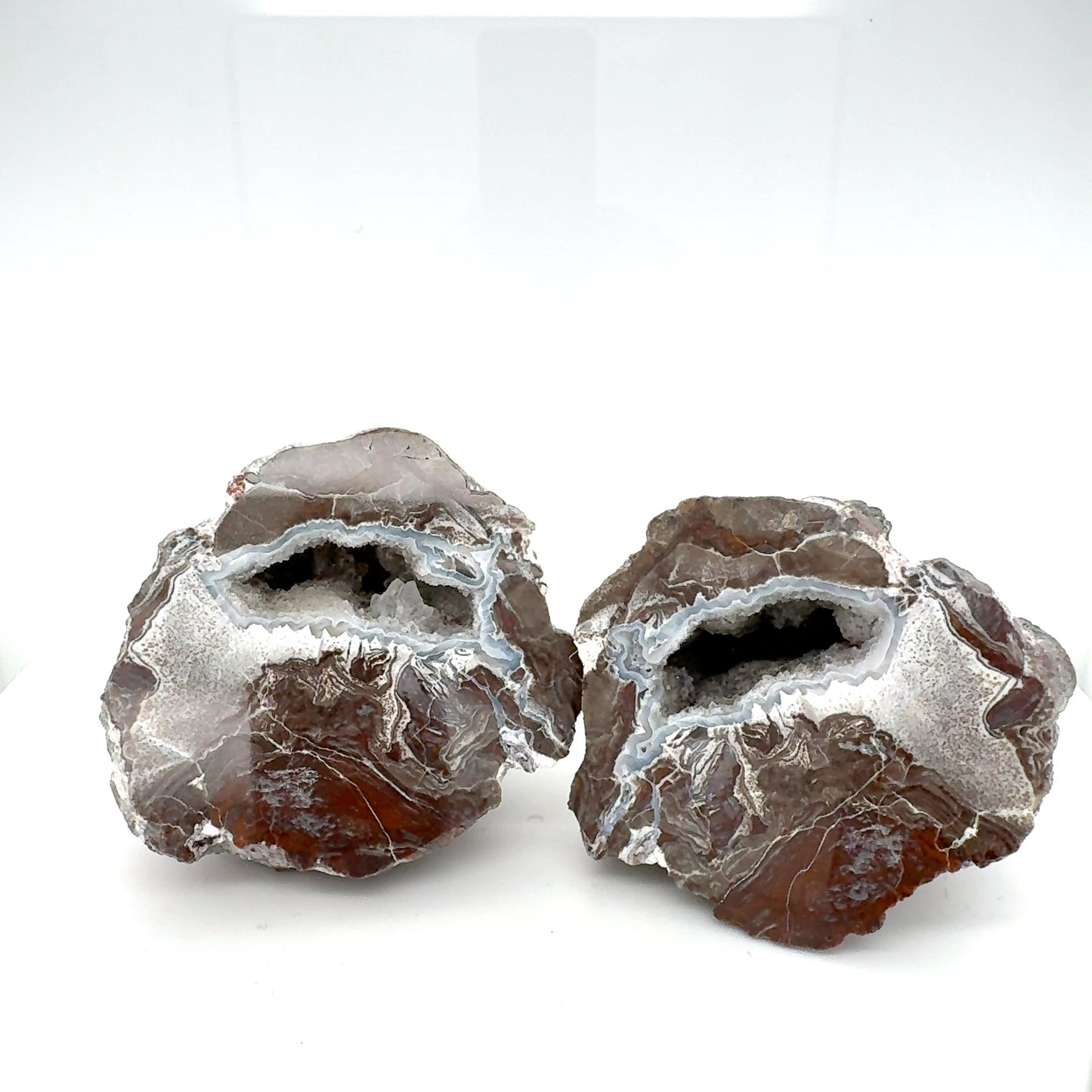 Thunderegg fluorescent Nodule polished Geode druzy