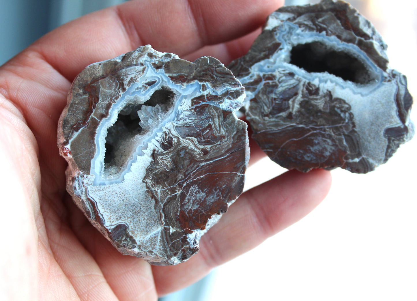 Thunderegg fluorescent Nodule polished Geode druzy