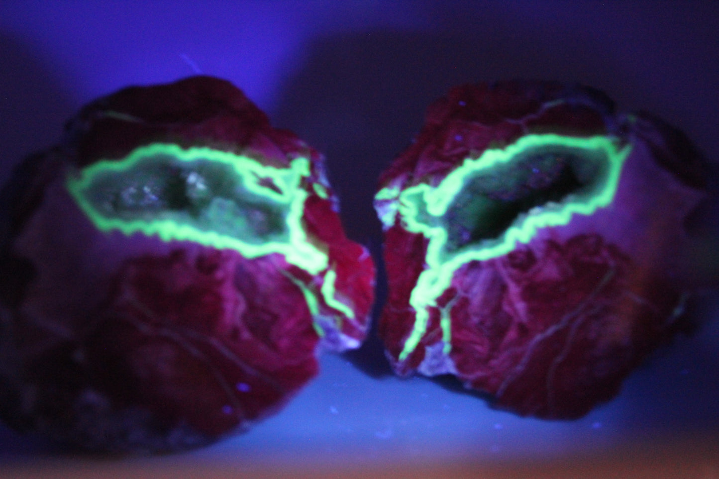Thunderegg fluorescent Nodule polished Geode druzy