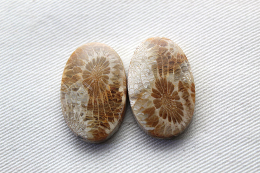 Fossil coral pair cabochons ovals (Copie)