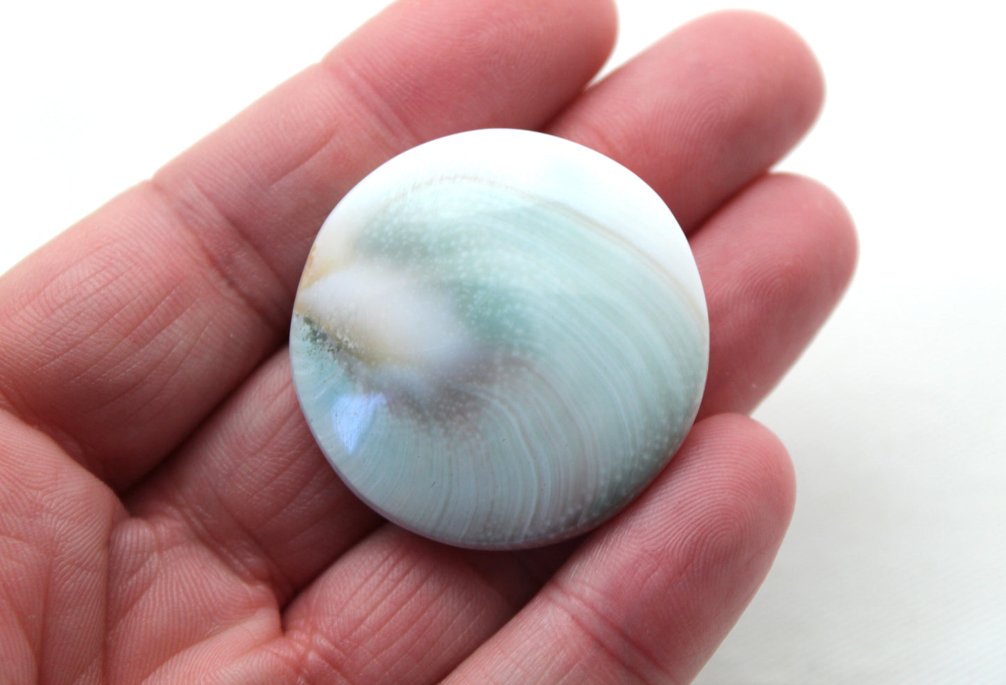 Large Shiva Eye Snail fossil gemstone 36MM