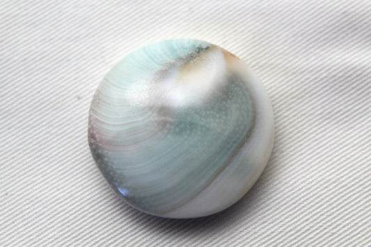 Large Shiva Eye Snail fossil gemstone 36MM