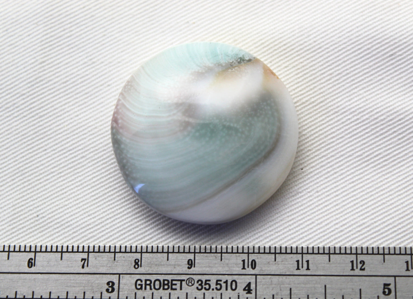 Large Shiva Eye Snail fossil gemstone 36MM