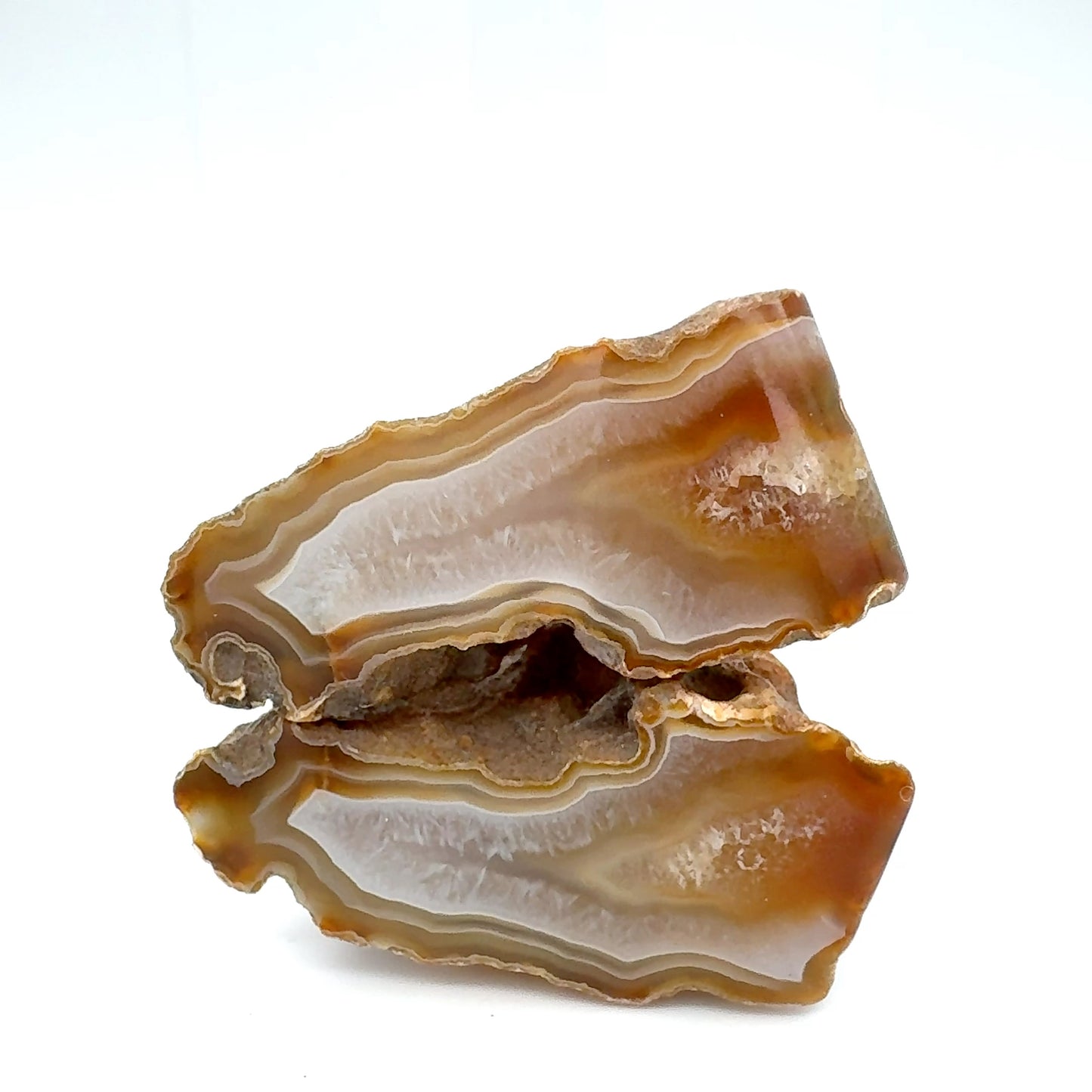 Indonesian banded Agate nodule polished