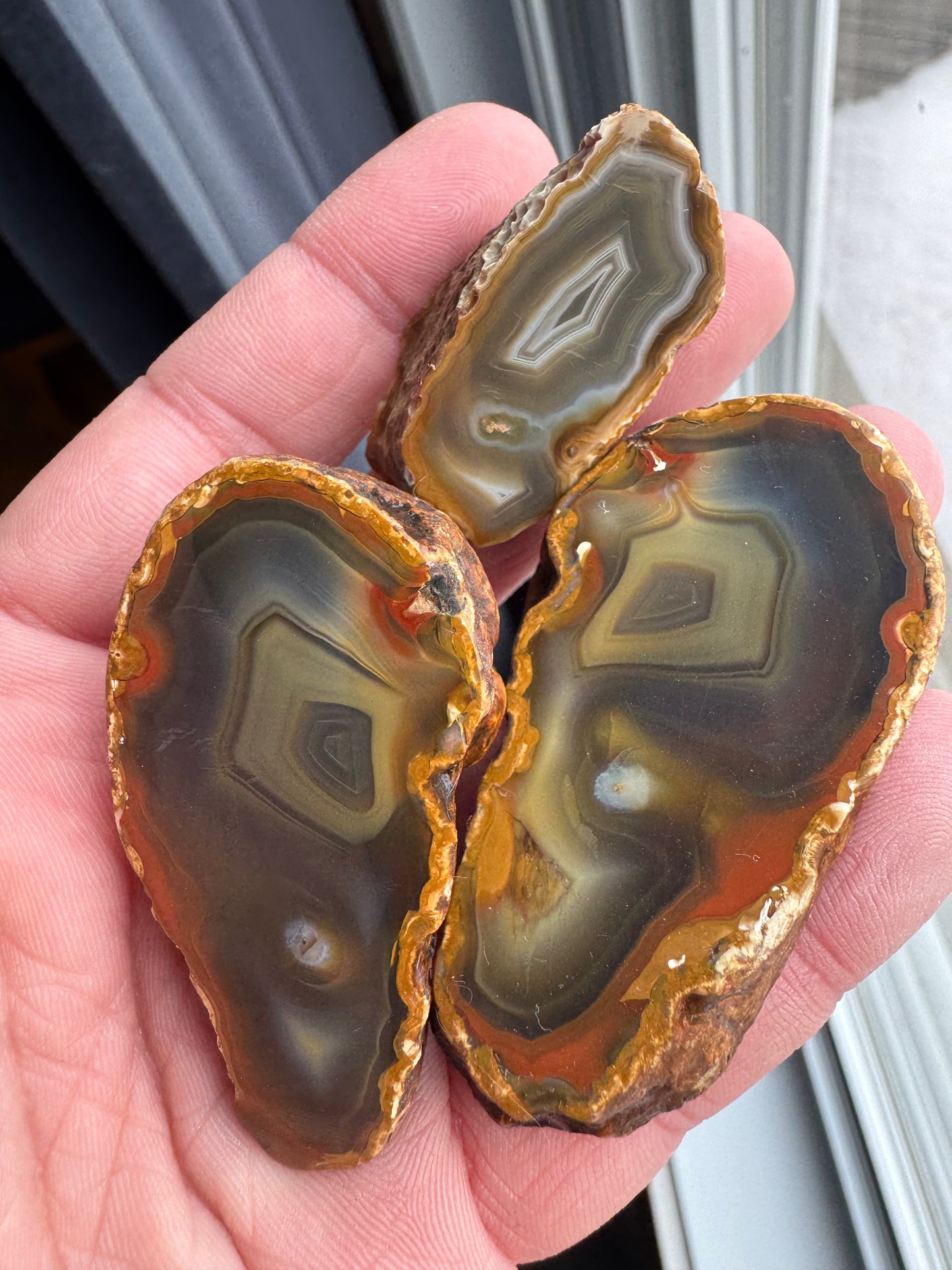 SUPERB Indonesian banded Agate nodule polished