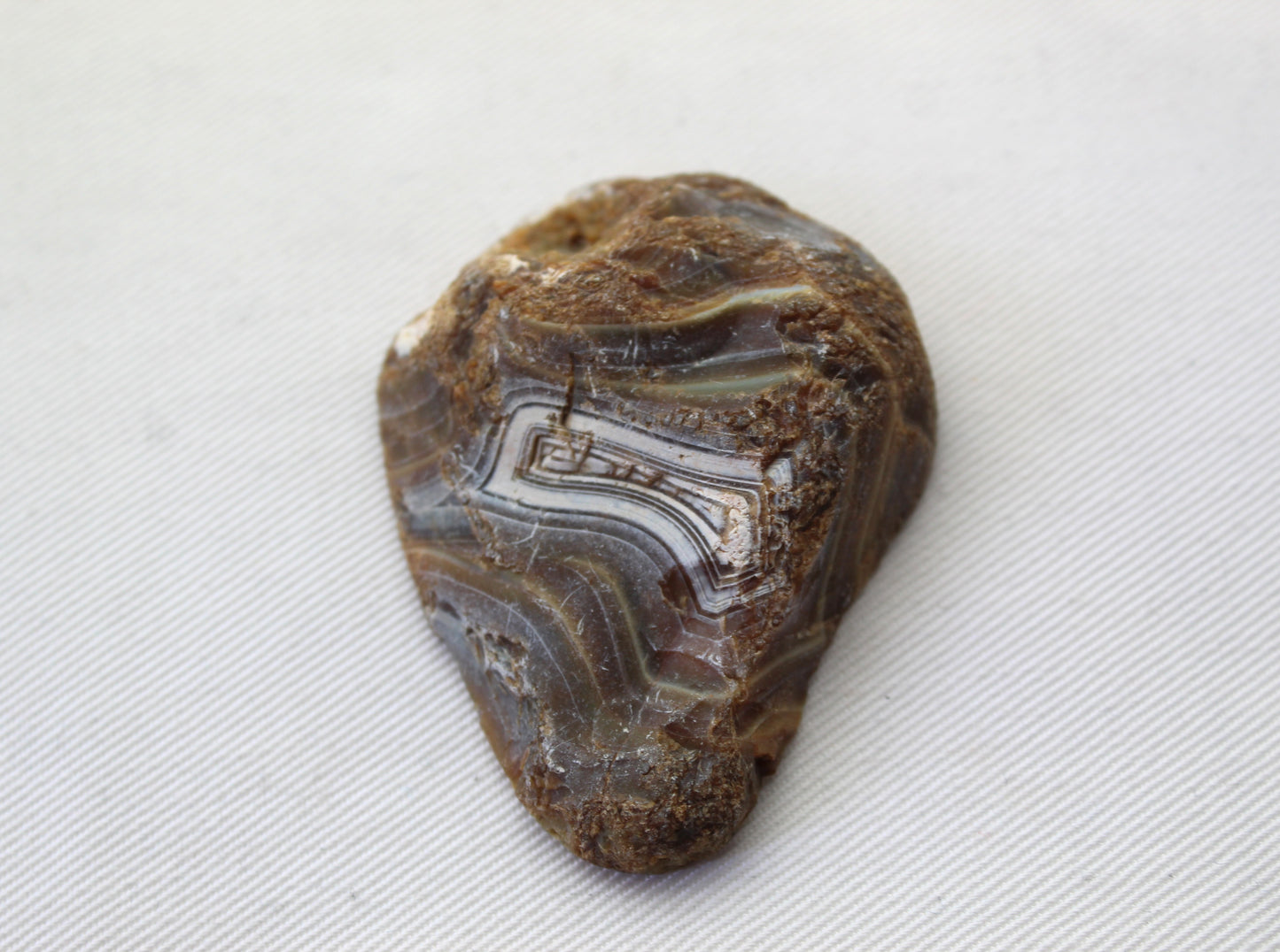 Indonesian banded Agate half nodule polished