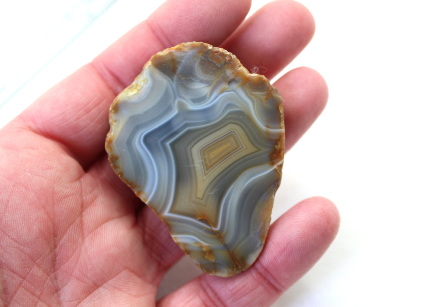 Indonesian banded Agate half nodule polished