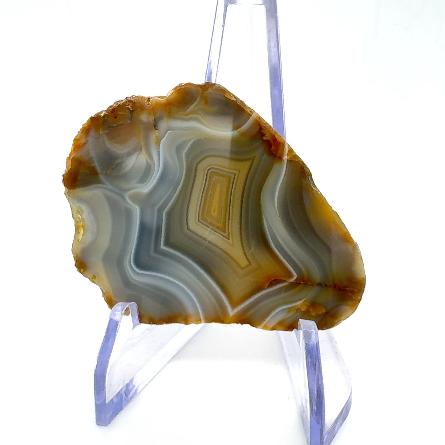 Indonesian banded Agate half nodule polished