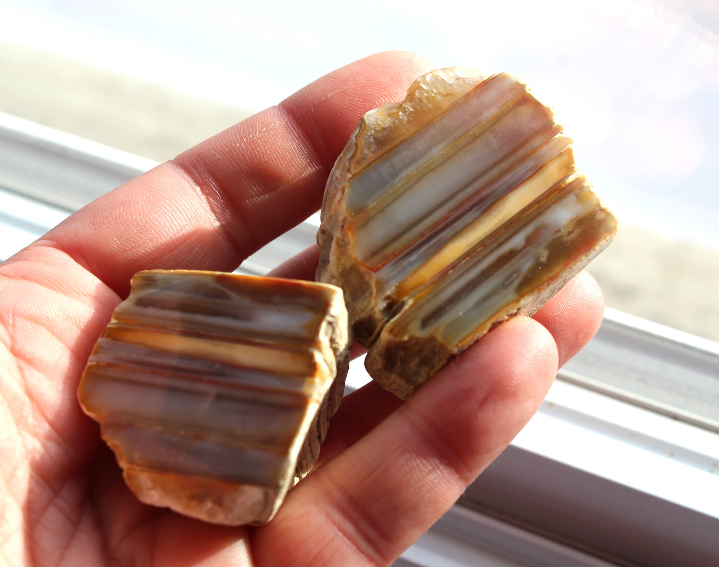 Small Indonesian Waterline Agate nodule polished