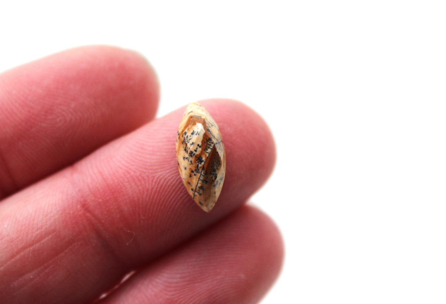 TWO Picture Jasper faceted Cabochons marquise 5X10MM