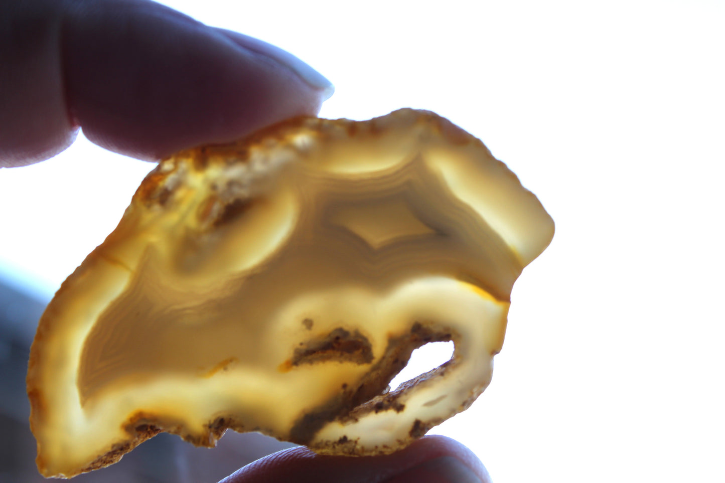 Indonesian banded Agate Slice polished yellow