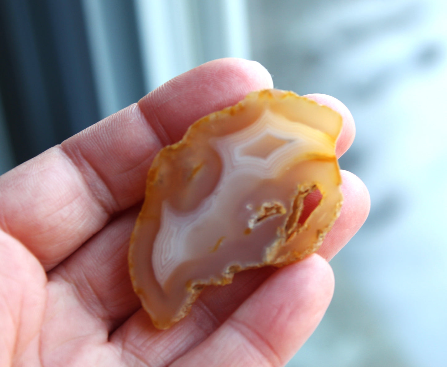 Indonesian banded Agate Slice polished yellow