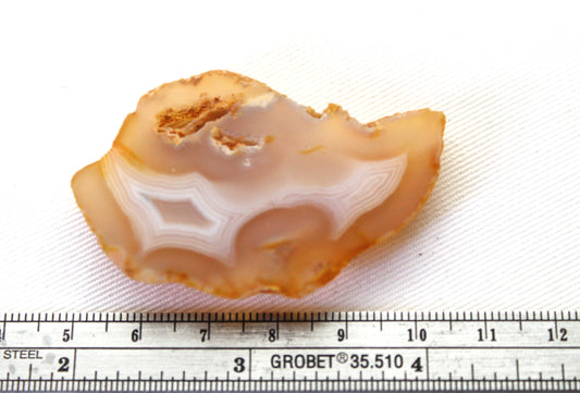 Indonesian banded Agate Slice polished yellow