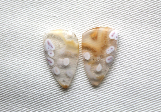 Orbicular Agate Cabochons Pair Gemstone natural