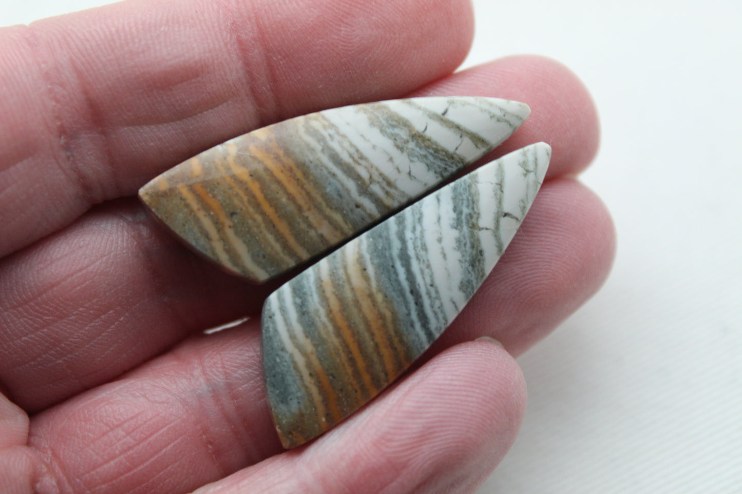 Pair of striped green Jasper Cabochons