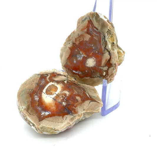 Natural Agate Geode Mont Lyall Canada