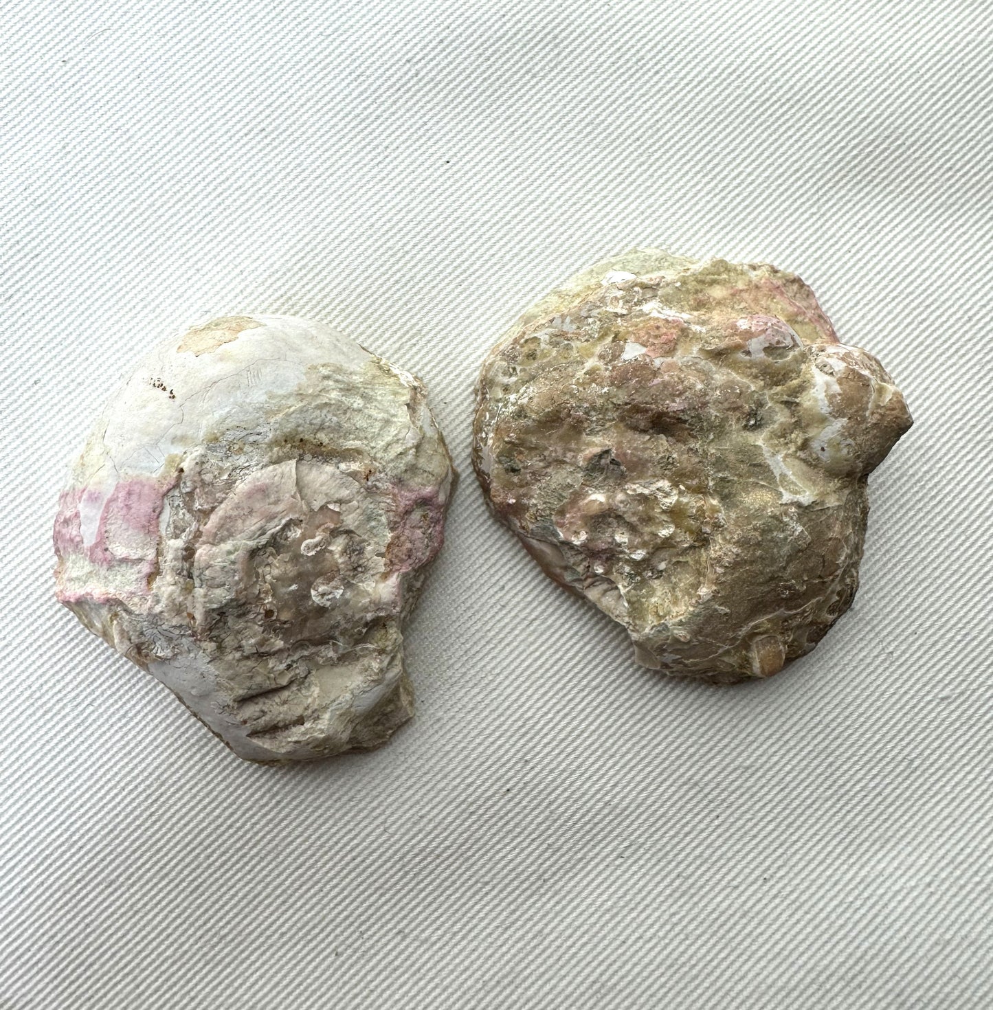 Natural Agate Geode Mont Lyall Canada