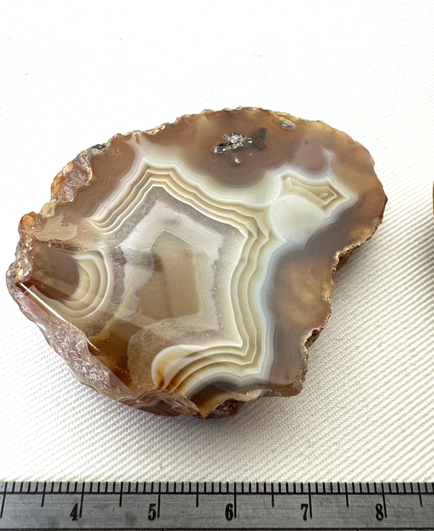 NICE Indonesian banded Agate nodule polished