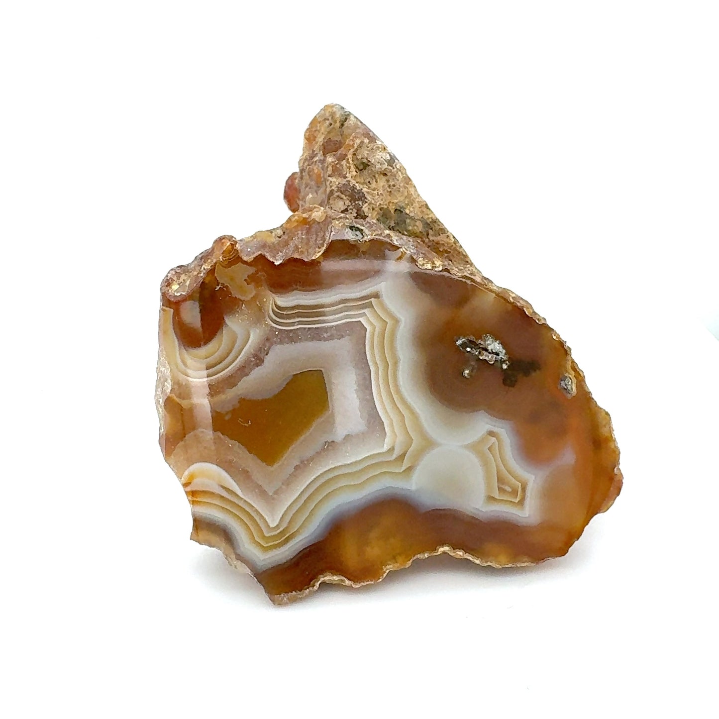 NICE Indonesian banded Agate nodule polished
