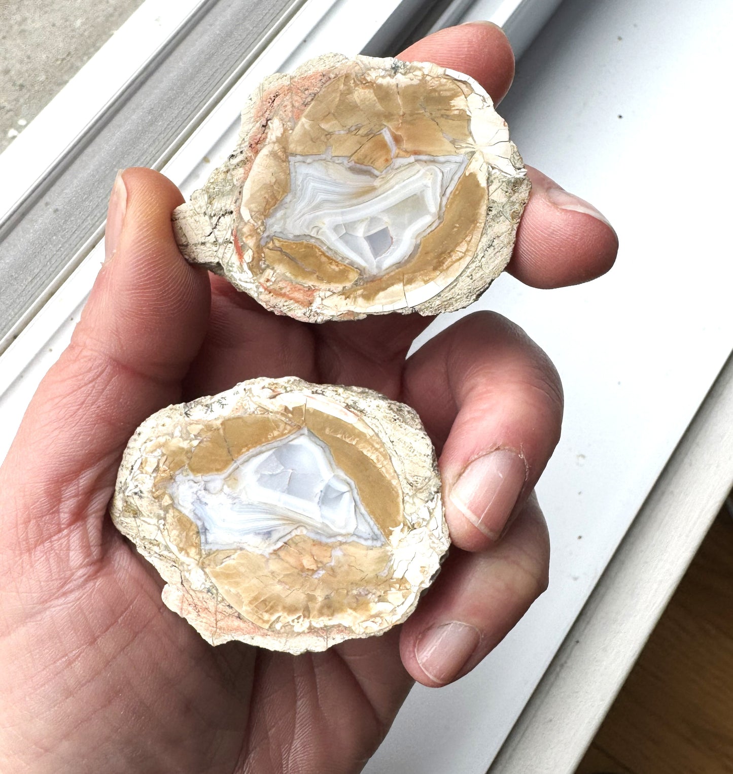 Natural Agate Nodule Mont Lyall Canada polished one face