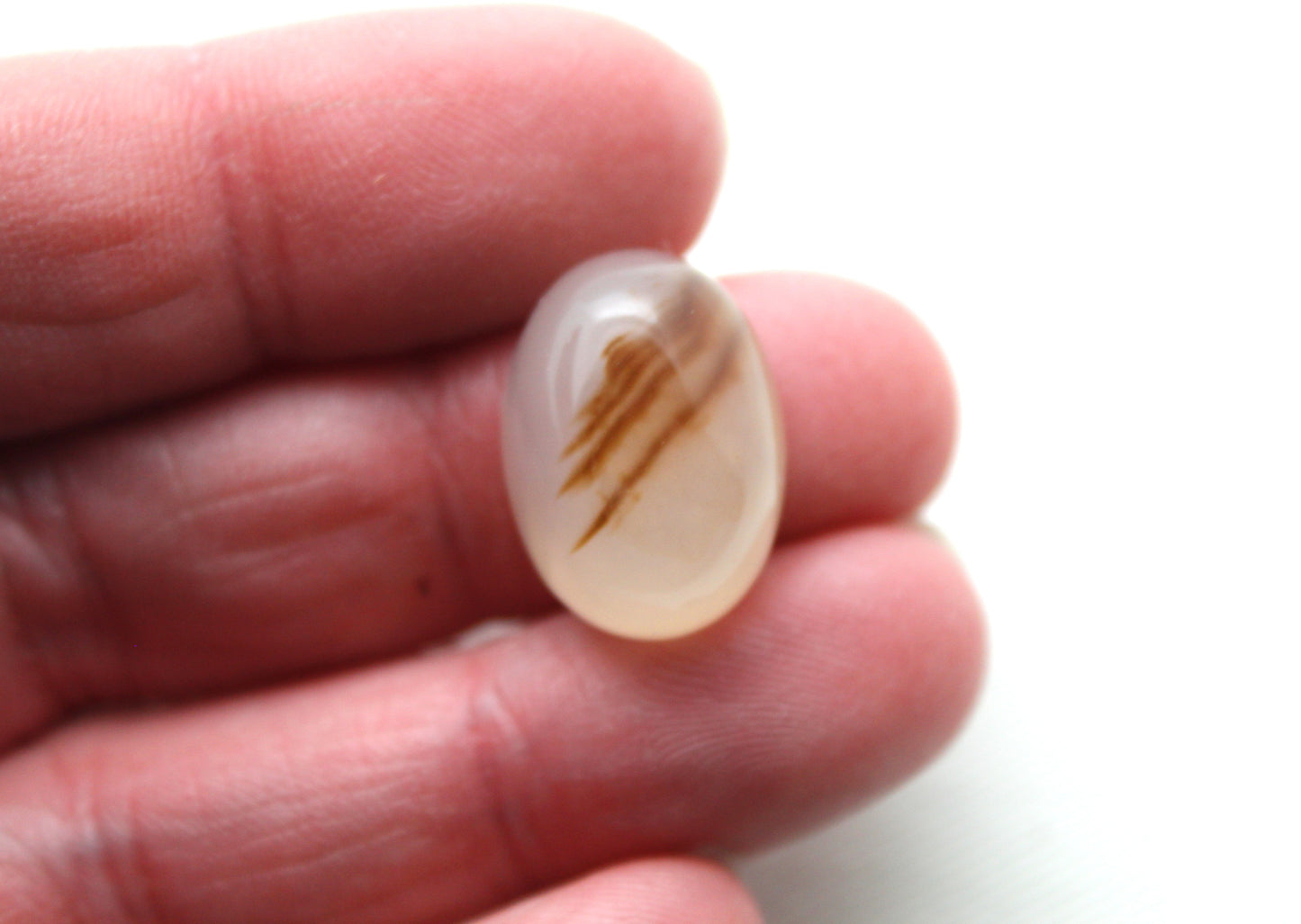 TWO Montana Agate Cabochon Oval gemstone 13X18MM