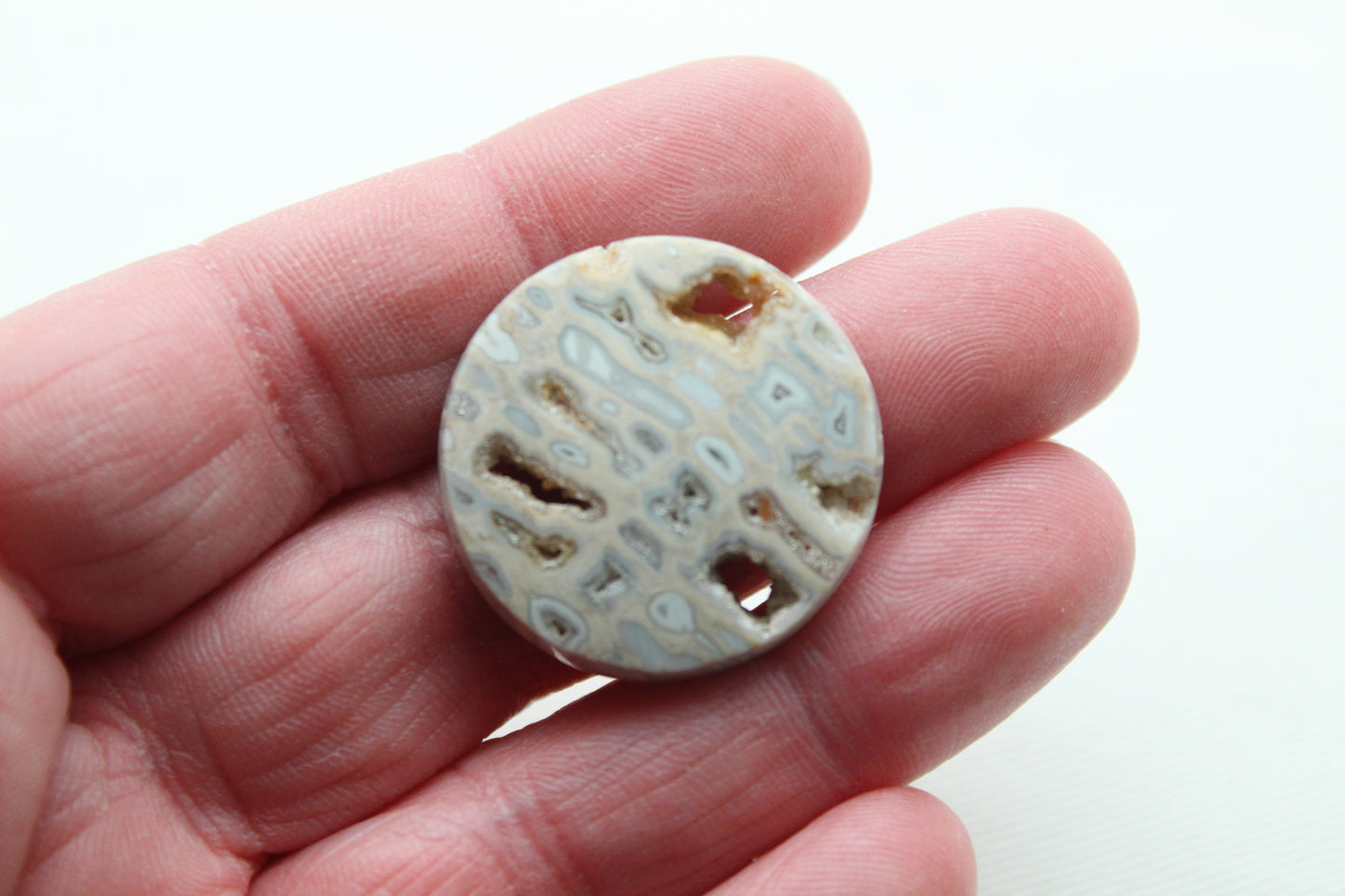 One Fossil Palmwood Cabochon Gemstone with druzy pockets round