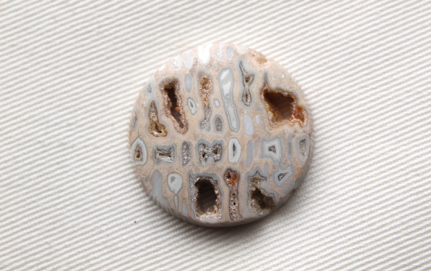 One Fossil Palmwood Cabochon Gemstone with druzy pockets round