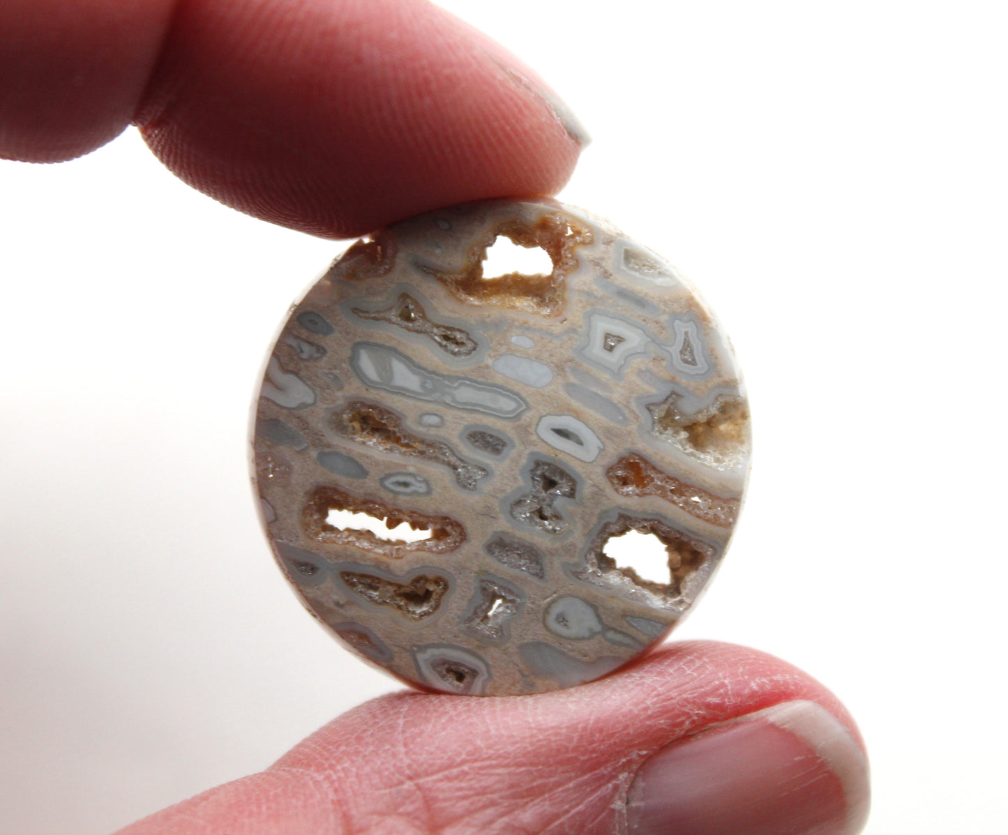 One Fossil Palmwood Cabochon Gemstone with druzy pockets round
