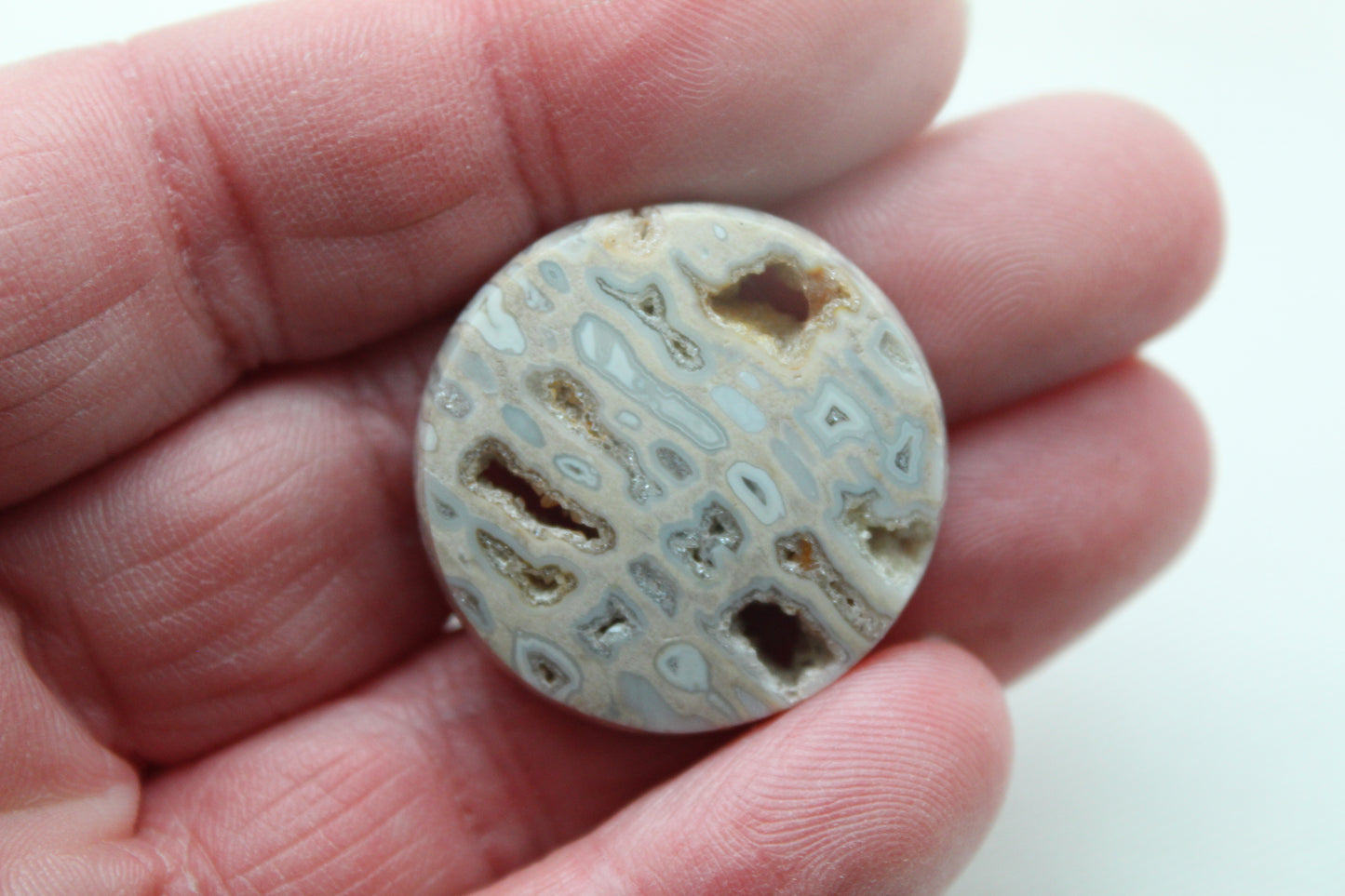 One Fossil Palmwood Cabochon Gemstone with druzy pockets round