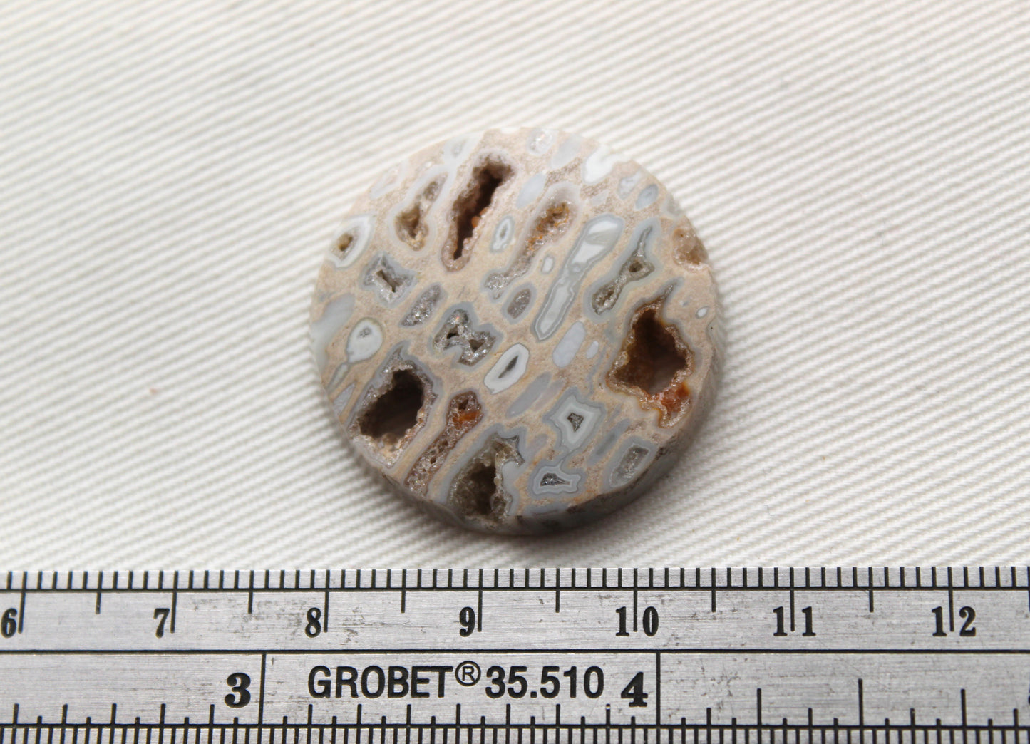 One Fossil Palmwood Cabochon Gemstone with druzy pockets round